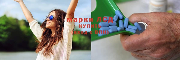 PSILOCYBIN Алексеевка