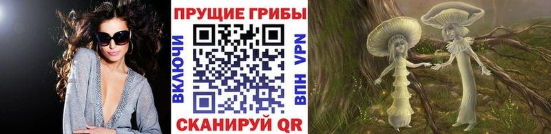 Псилоцибиновые грибы Psilocybine cubensis  Харовск 